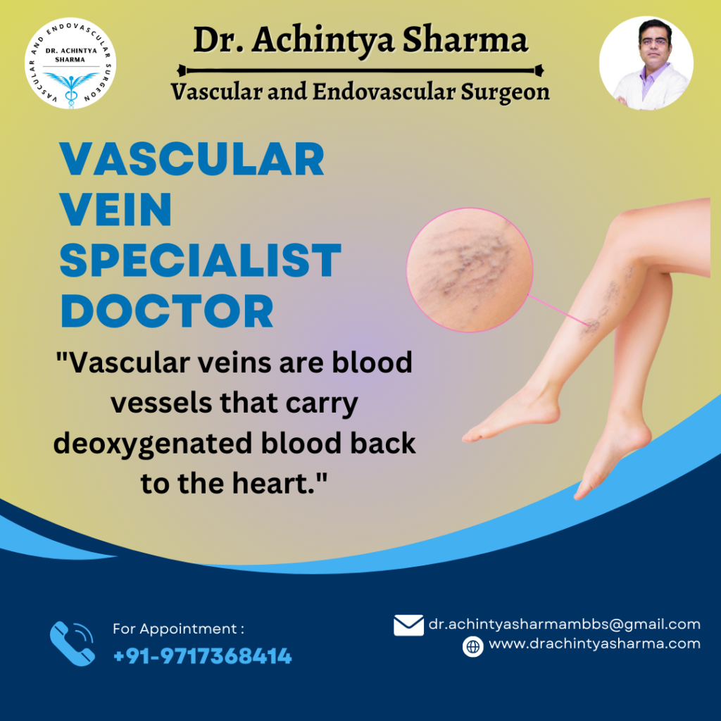 vascular vein doctor
