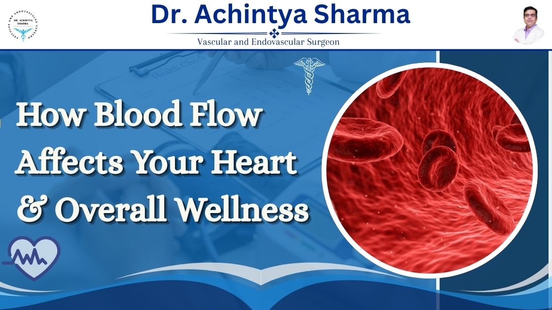 Read more about the article How Blood Flow Affects Your Heart and Overall Wellness